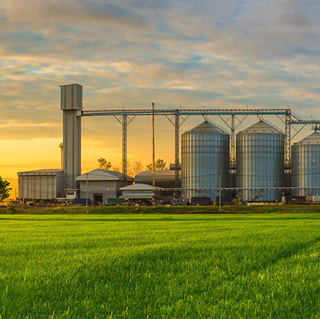 Linear Heat Detection for Grain Silos
