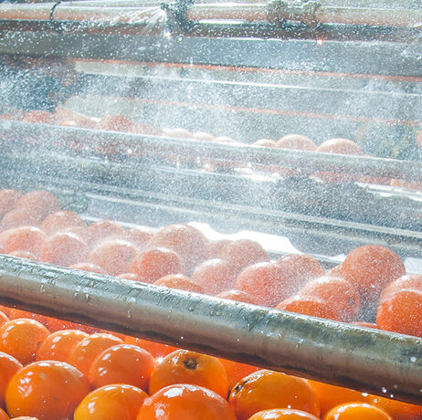 How to Install VESDA into Wet or Condensing Environments