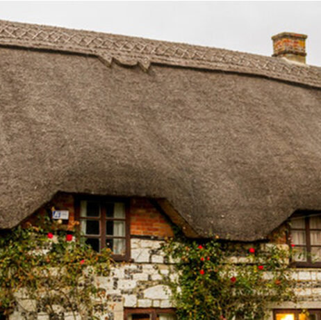 Hybrid Fire Detection for Thatched Roofs