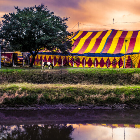 Using Wi-Fyre for Travelling Circuses