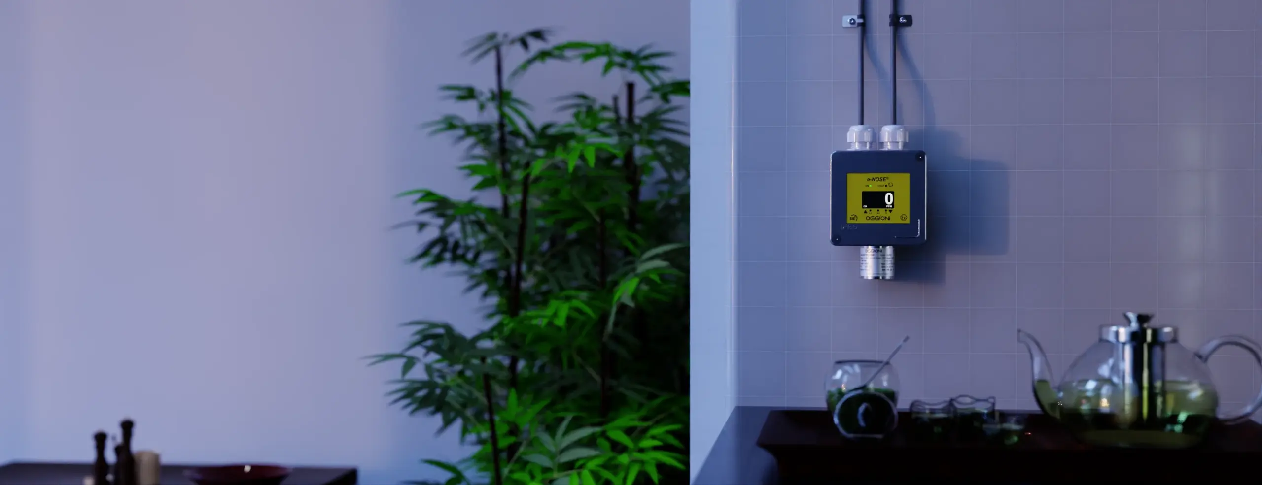 Oggioni DUST Gas Detection for Restaurants and Kitchens