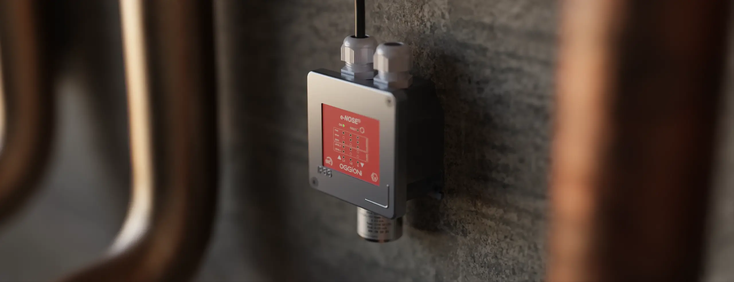 Oggioni DUST Gas Detection in Petrolchemical Plants